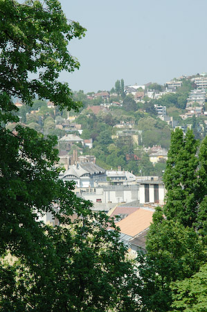 DSC_15400_20070426