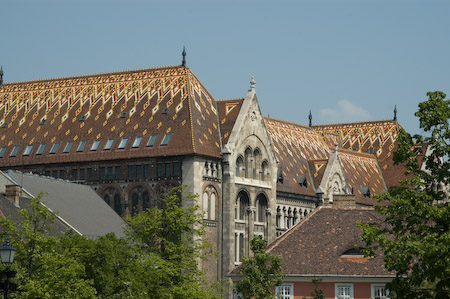 DSC_15413_20070426