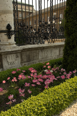 DSC_15448_20070426