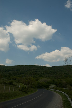 DSC_15482_20070427