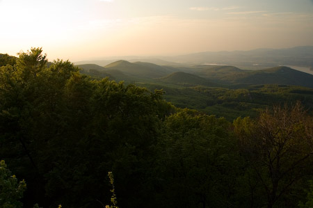 DSC_15538_20070427