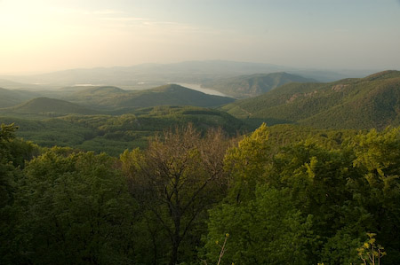 DSC_15539_20070427