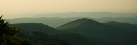 DSC_15541_20070427