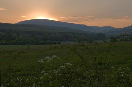 DSC_15545_20070427