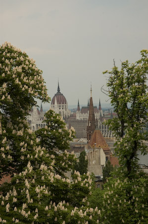 DSC_15608_20070429