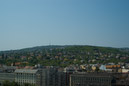 DSC_15410_20070426
