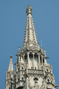 DSC_15419_20070426