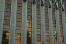 DSC_15441_20070426