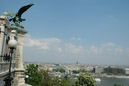 DSC_15450_20070426