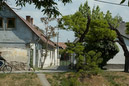 DSC_15466_20070427