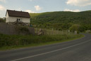 DSC_15479_20070427