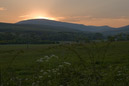DSC_15545_20070427