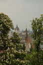 DSC_15608_20070429