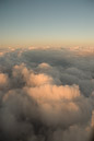 DSC_15626_20070429